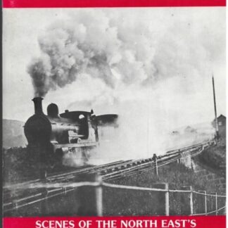 Great North Memories: Scenes Of The North East's Own Railway - Volume 2
